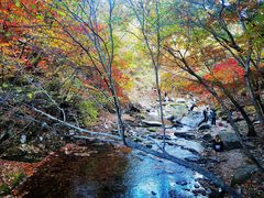 -本溪老边沟风景区
