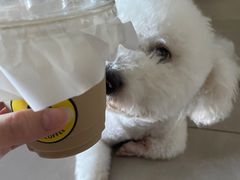 -明谦·Coffee&Cocktail Bar(美您公园店)