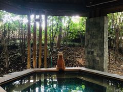 -张家港金凤凰度假村温泉