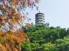 -深圳国际园林花卉博览园