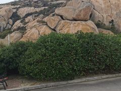 -洋山深水港观景平台