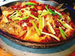 -老板恋上鱼(恒隆广场店)