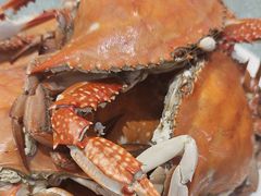 -渔码头食府(蓬莱阁店)