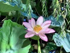 -莲池书院博物馆