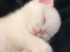 -知味观(湖滨总店)