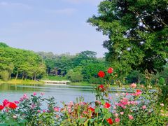 -东莞植物园