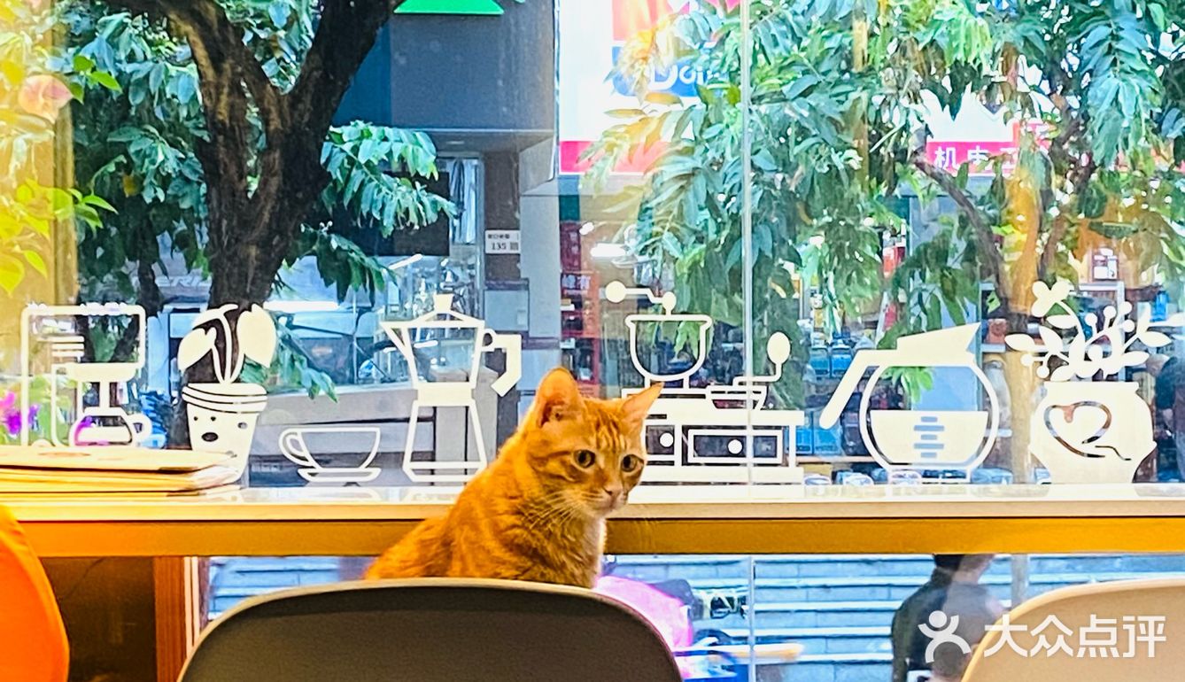 深圳城市懒角落之苏米咖啡☕