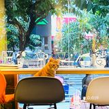 深圳城市懒角落之苏米咖啡☕