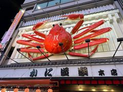 -蟹道乐(道顿堀本店)