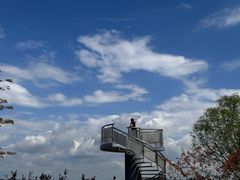 -羊山湖公园