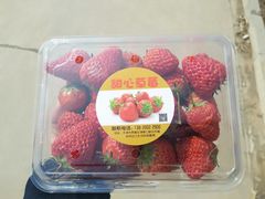 -甜心庄园·甜心草莓采摘园(西青中北店)
