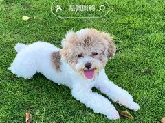 -露天矿生态公园