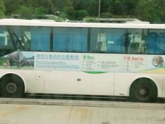 -大澳渔村及棚屋