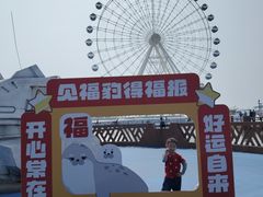 -秦皇岛乐岛海洋王国