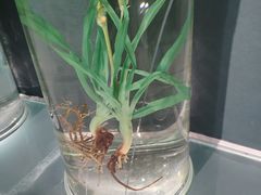 -中国湿地博物馆