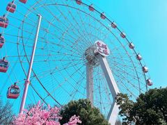 -东湖生态旅游风景区