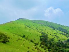 -大姆山草场