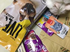 -瑞鹏宠物医院·骨科·猫科·内科(第一中心)