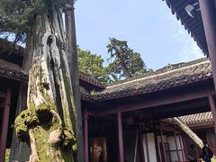 -太平天国侍王府
