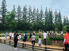 -前小桔亲子创意农场·草莓采摘·露营烧烤