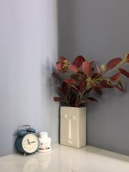 -Lily纤美·科技减脂中心
