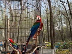 -北京野生动物园