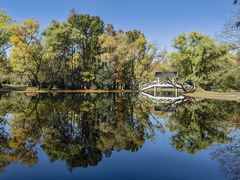 -上海共青森林公园