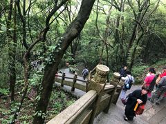 -普陀山风景区-佛顶山