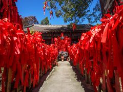 -少华山国家森林公园