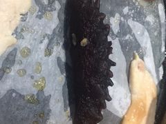 -钱小主·自助回旋烤肉火锅餐厅(东方新天地店)