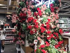 -宜家家居(哈尔滨商场店)