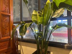 -树厨地道黔菜(清镇职教城店)