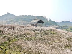 -原乡小镇度假乐园