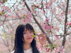 -天适樱花悠乐园