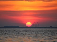 -湖南东洞庭湖国家级自然保护区