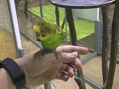 -上海大自然野生昆虫馆(东方明珠·爬宠昆虫探索中心)