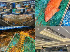 -东海怡品海鲜豆捞(舟宿夜江店)