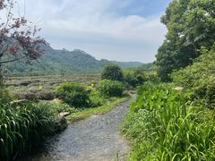 -中国茶叶博物馆(双峰馆区)