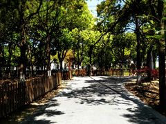 -莲花岛景区