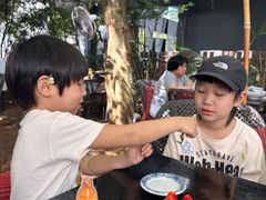 -Fern Forest Cafe