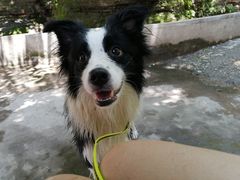 -沕沕水生态风景区