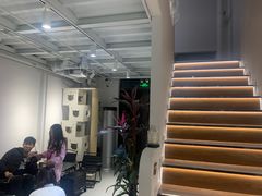 -琪喵猫屋·撸猫猫咖·猫舍