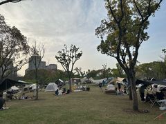 -新江湾城公园