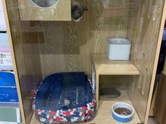 -百信宠物医院(东升街店)