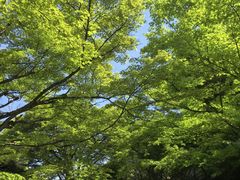 -三千院