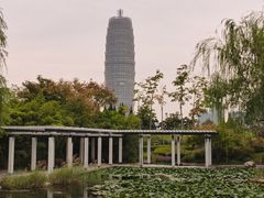 -郑东新区湿地公园