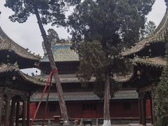 -报恩寺(平武县)