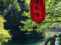 -石台牯牛降景区