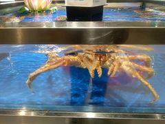-盒马鲜生(和谐广场店)