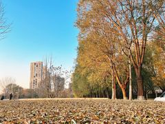 -长白岛森林公园